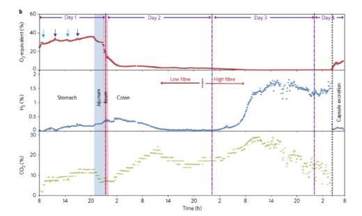 肠道内氢气知多少？新检测技术来了