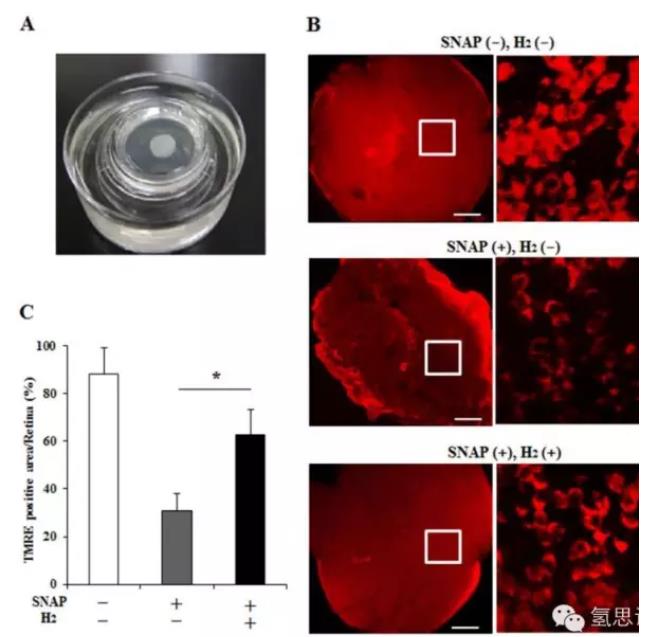 氢气对保护视神经有用吗？