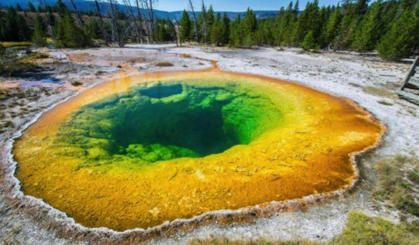 民以食为天，地球生命以氢为天！