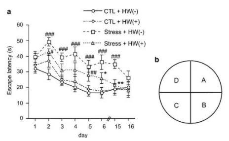 急死干细胞，氢水可保护