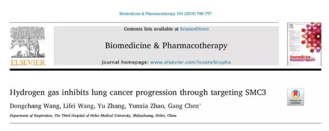 氢气改善肺癌的研究，氢气吸入4周，肿瘤缩小一圈