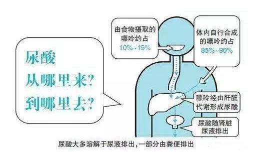 尿酸高？那你就离不开氢了！