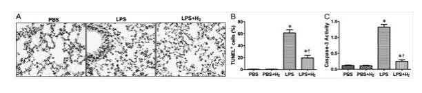 氢气改善癌症的故事：氢气“护”肺