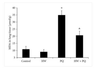 氢气改善癌症的故事：氢气“护”肺