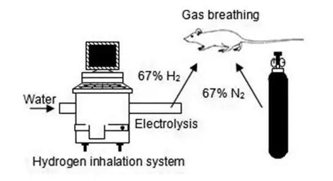 氢改善癌症：他患肝癌，改善很顺畅