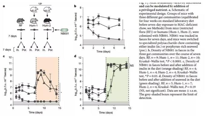 海带有利健康或许是氢气使然