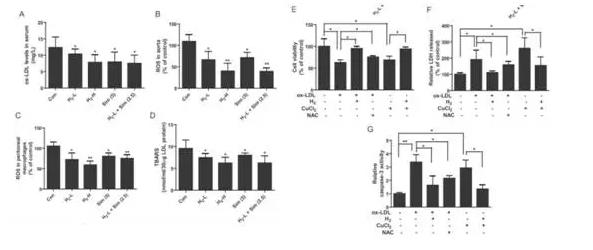 动脉斑块是生命隐形炸弹，饮用氢水能稳定动脉斑块