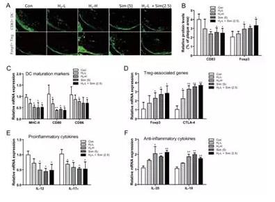 动脉斑块是生命隐形炸弹，饮用氢水能稳定动脉斑块
