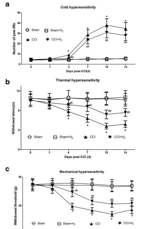 氢气能改善疼痛吗？为何能够改善疼痛感呢？