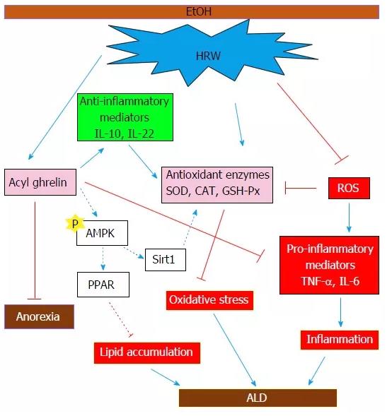 氢气水可以解酒？氢气为何能够解酒呢？