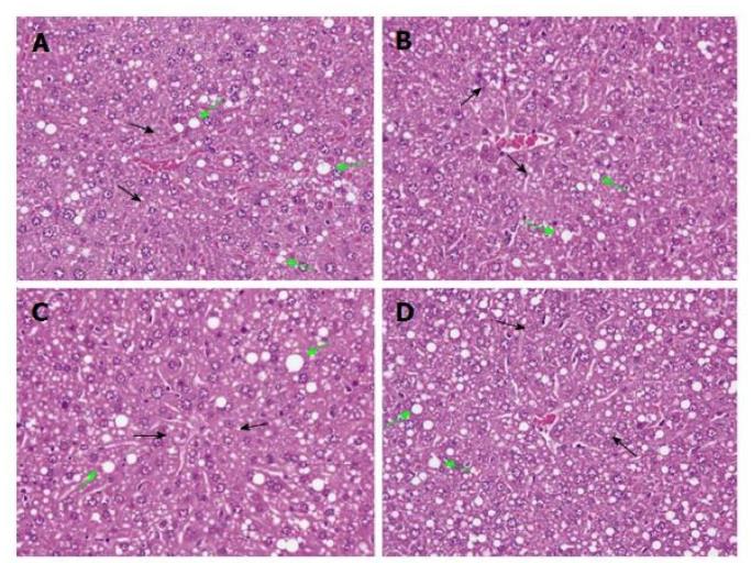 氢气水可以解酒？氢气为何能够解酒呢？