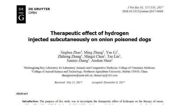 有人吃洋葱中毒，氢气竟然能解毒