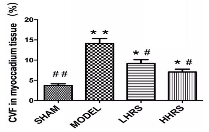 氢气抗心衰，救命效应又添新证据！