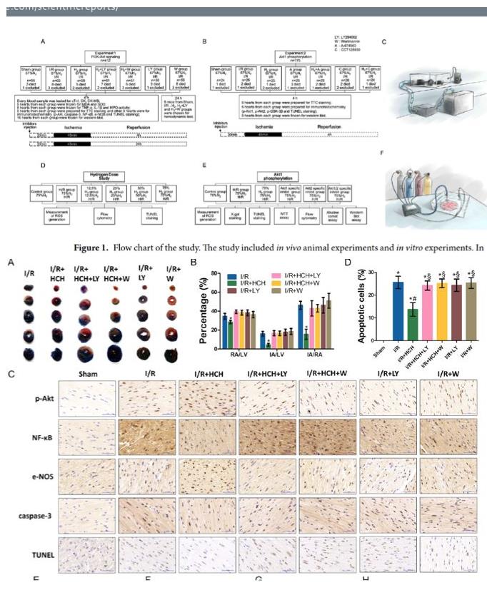 这病死亡率与癌症相当，氢气也许是一个解决思路