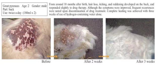 氢气改善疾病真那么牛吗？