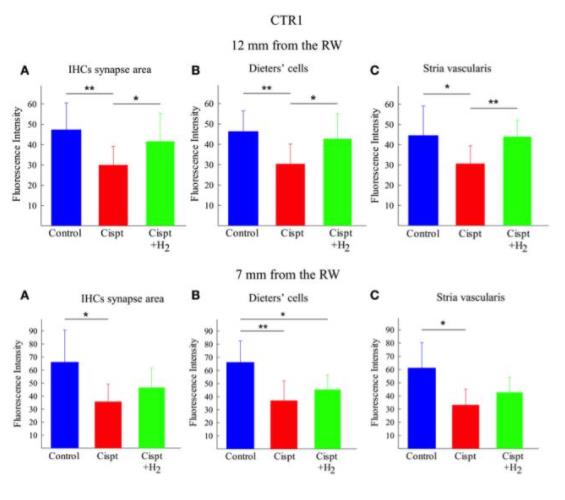 瑞典：氢气吸入对癌症化疗药耳毒性的改善作用