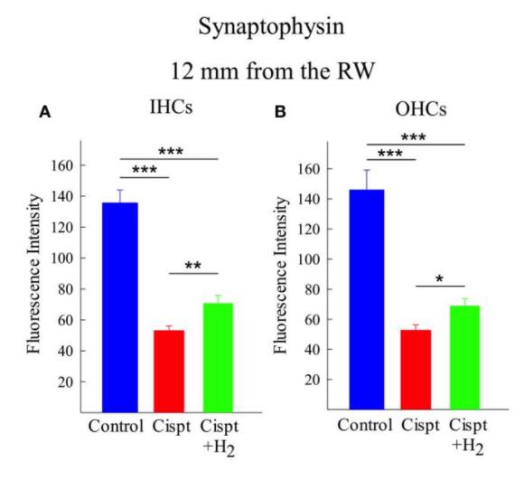 瑞典：氢气吸入对癌症化疗药耳毒性的改善作用