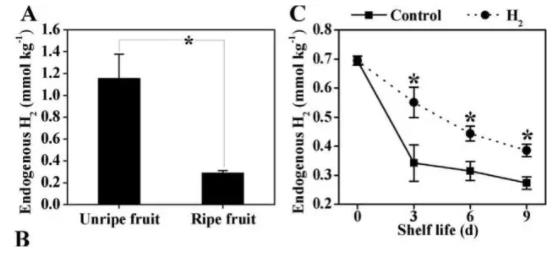 水果保鲜，氢气也是一流神气！