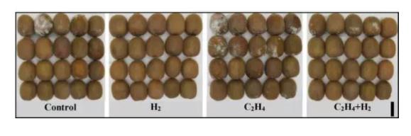 水果保鲜，氢气也是一流神气！