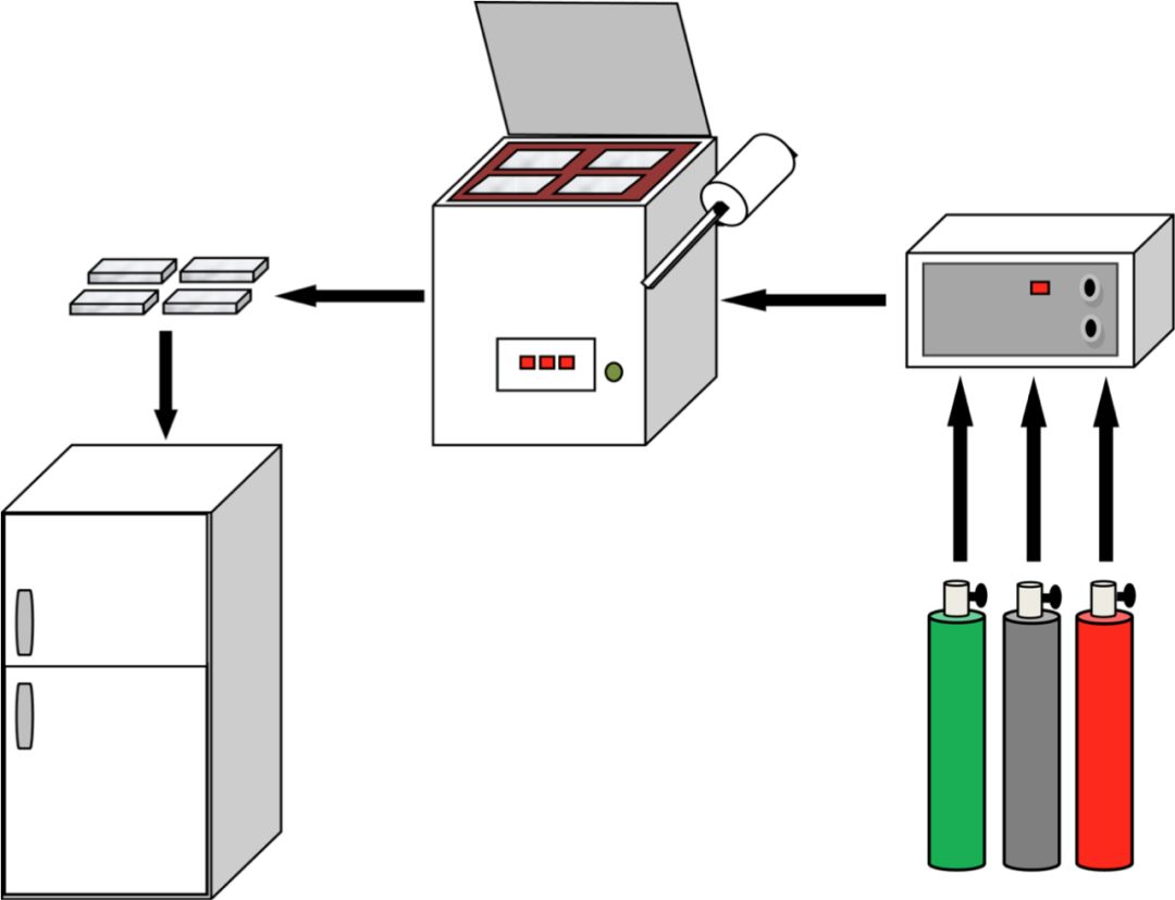 【鲜】氢气保鲜食品，色彩营养口感都有
