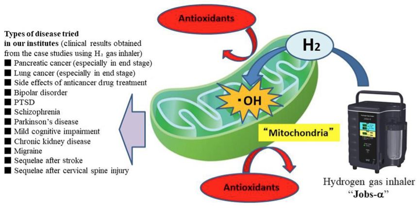 【靓】哲学氢分子！专治难。