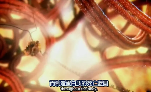 关于病毒，需要了解的三层知识