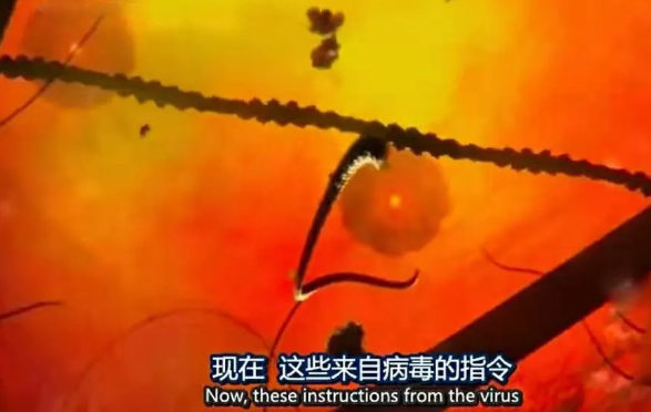 关于病毒，需要了解的三层知识