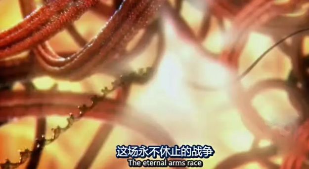 关于病毒，需要了解的三层知识