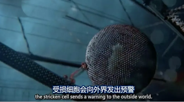 关于病毒，需要了解的三层知识