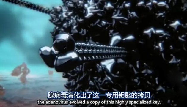 关于病毒，需要了解的三层知识