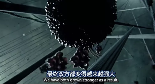 关于病毒，需要了解的三层知识