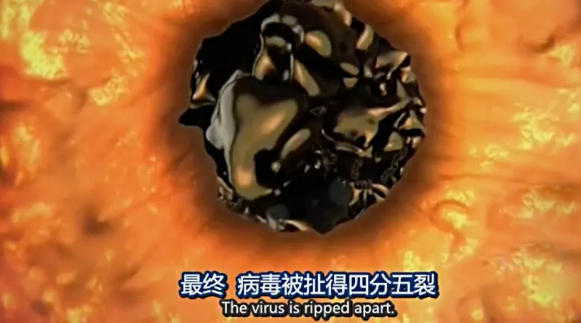 关于病毒，需要了解的三层知识