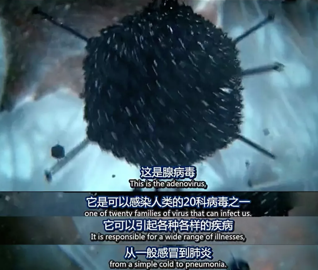 关于病毒，需要了解的三层知识