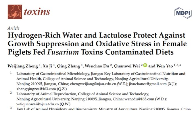 氢水养猪会怎么样？
