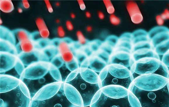 什么是自由基活性氧？