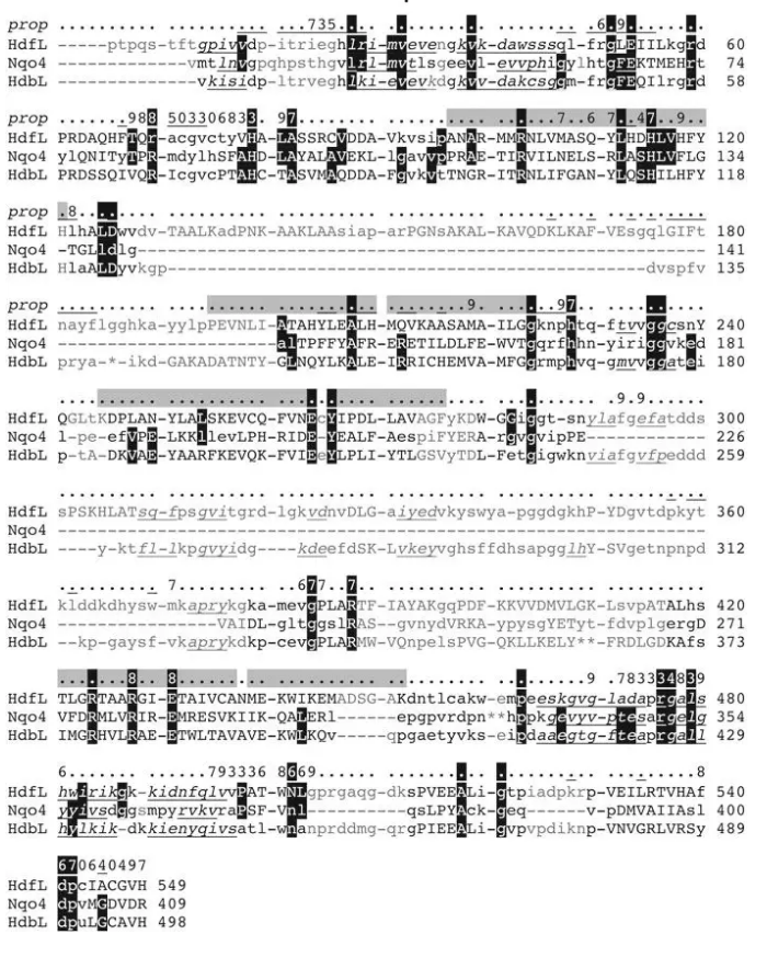 氢化酶和线粒体复合物I的进化关系