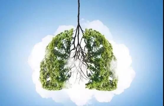 氢案例|肺癌患者家属的陪护日记：吸氢是应对预后的有效手段