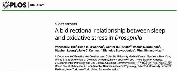 氢可以改善睡眠质量？