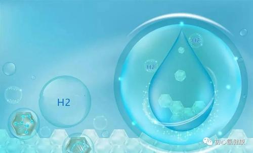 氢气和肠道菌群什么关系？