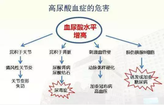 血糖、尿酸、血脂一网打。馑寮毂ǜ
