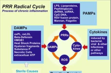 德国：氢气对慢性疲劳综合征的神奇效果