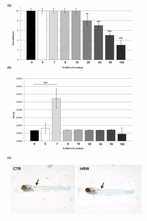 斑马鱼试验：氢气有促进骨骼形成作用！