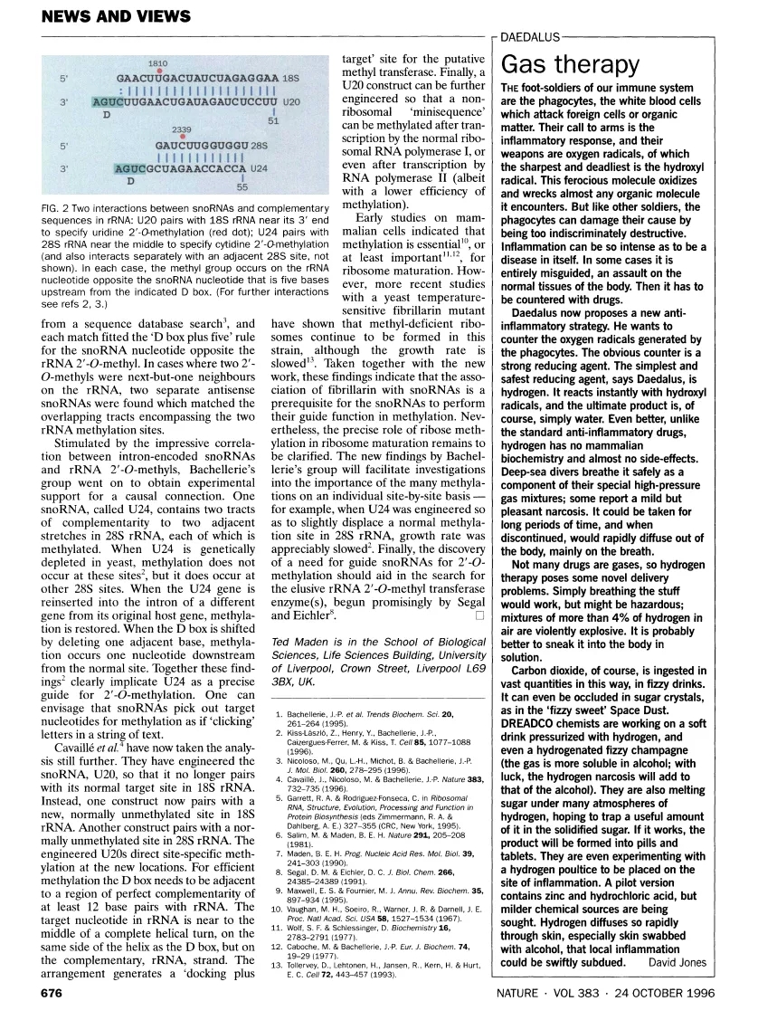 《自然》1996年神文，明确提出氢气疗法！