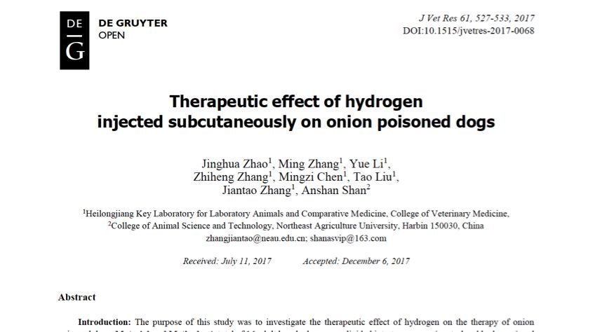 汪星人吃洋葱会中毒，氢气能帮忙解毒