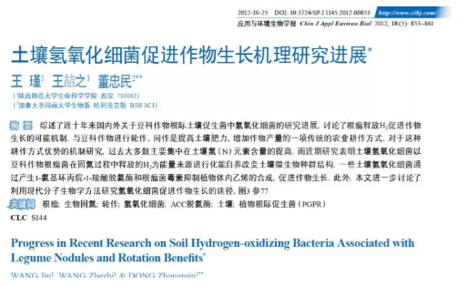 “氢气肥料”什么意思？