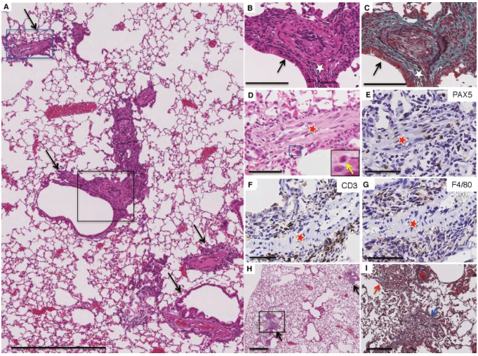 这比癌症可怕，氢气也敢挑战
