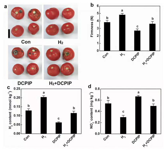 不仅保鲜，氢气还能减少致癌物