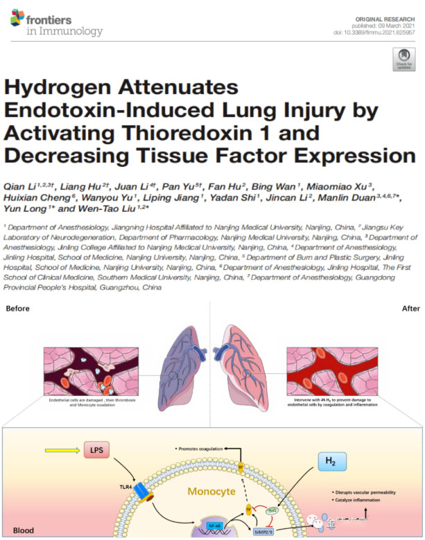 对付脓毒症肺损伤，氢气大显身手