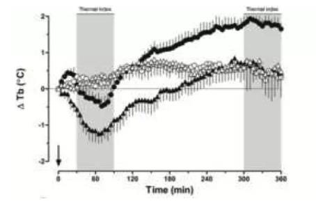 新发现，氢气能够缓解发烧！