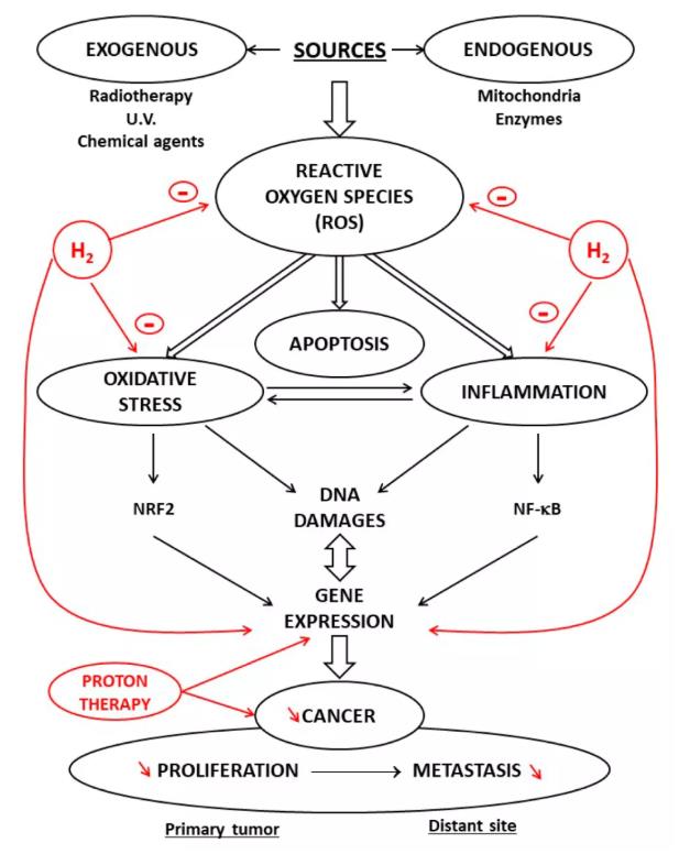 氧化发炎为虎作伥，氢气中和内外兼强